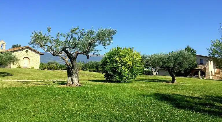 Manor house in Assisi