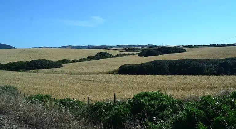 Sommerhus i Stintino