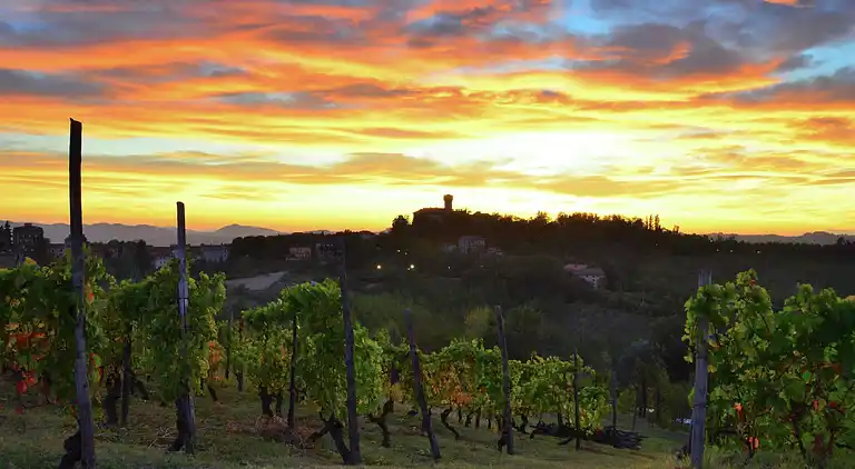 Slott i Tagliolo Monferrato