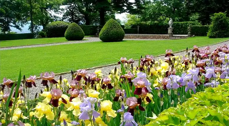 Castle in Rocca Grimalda