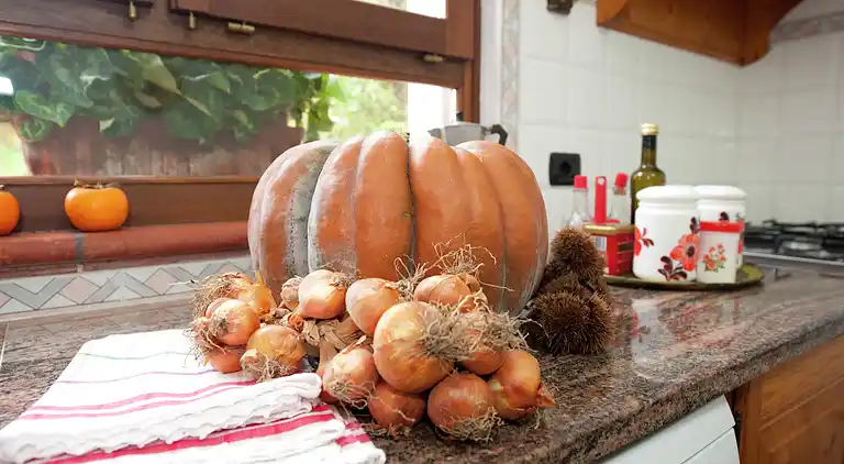 Sommerhus i Vezzi Portio