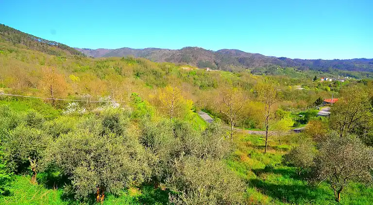 Semesterbostad i Sesta Godano