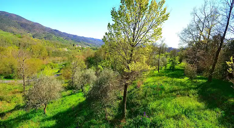 Semesterbostad i Sesta Godano