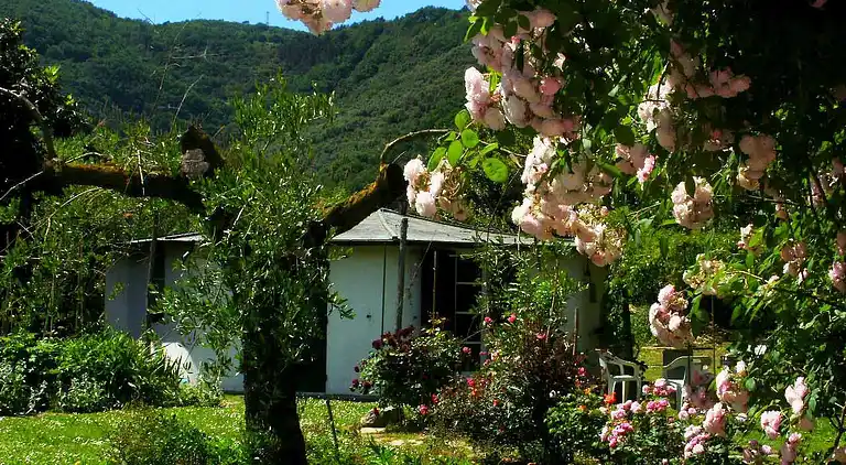 Cottage in Ameglia