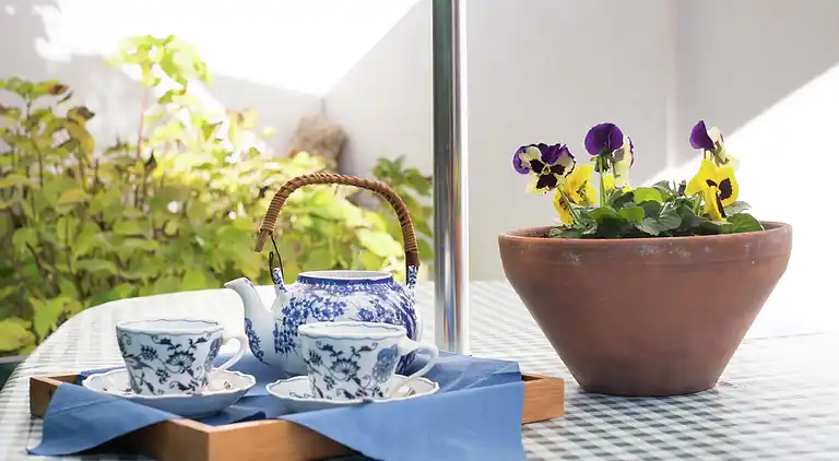 Ferielejlighed i San Gregorio