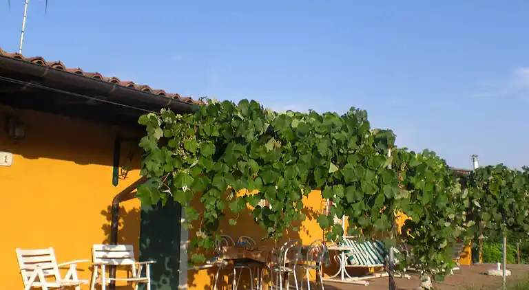 Ferielejlighed i Montecalvo Versiggia