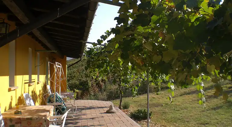 Ferielejlighed i Montecalvo Versiggia