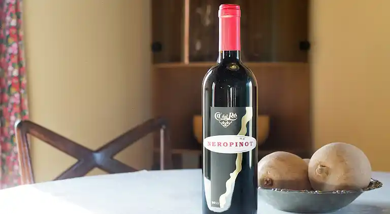 Ferielejlighed i Montecalvo Versiggia