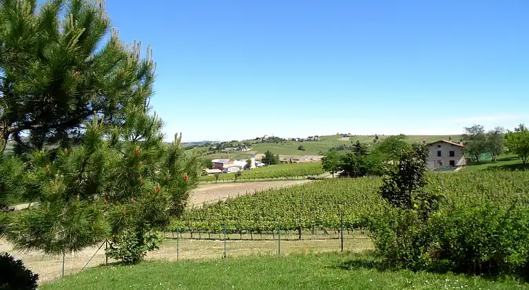 Farm house in Santa Maria della Versa