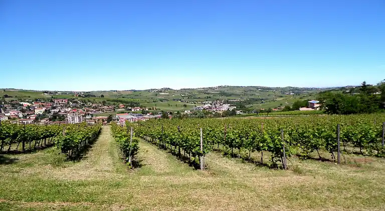 Farm house in Santa Maria della Versa