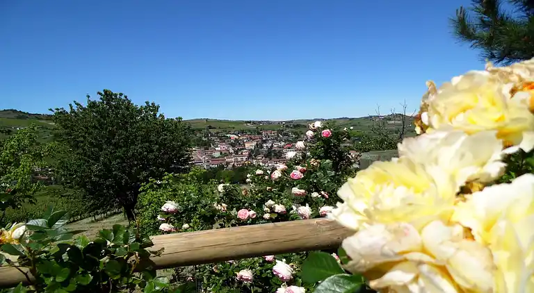Farm house in Santa Maria della Versa