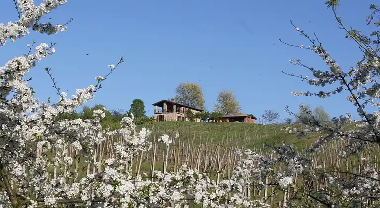 Villa in Ziano Piacentino