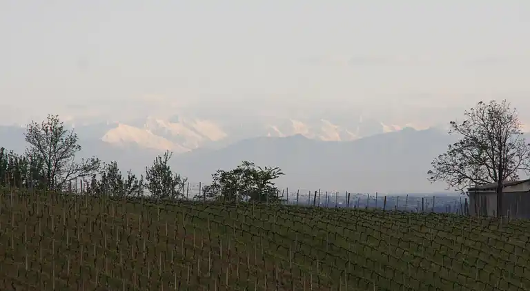 Villa in Ziano Piacentino