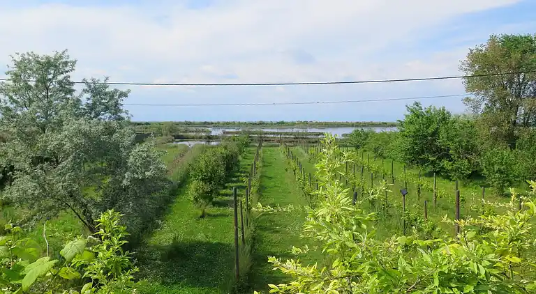 Cottage in Lio Maggiore