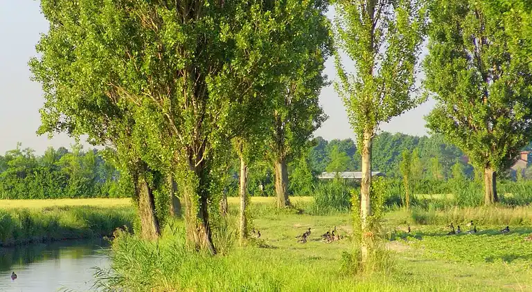 Cottage in Lio Maggiore