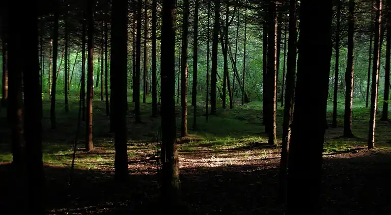 Ferielejlighed i Fianema