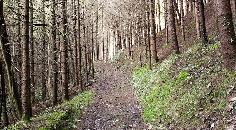 Ferielejlighed i Fianema