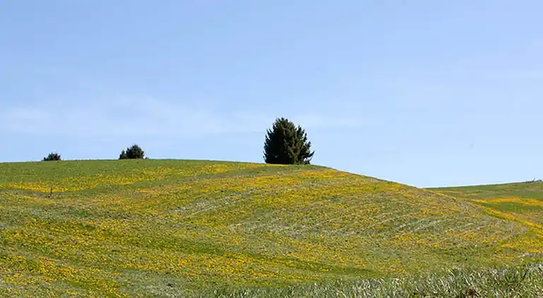 Casa vacanze in Bertigo