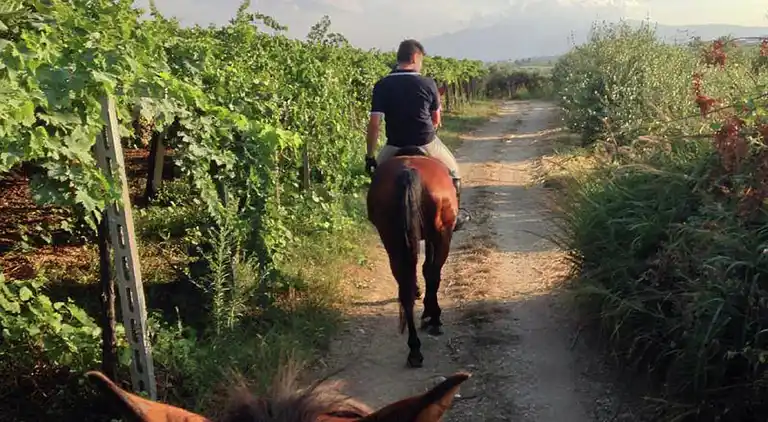 Manor house in Mason