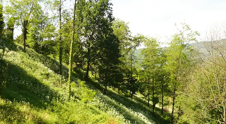 Lägenhet i Arzignano