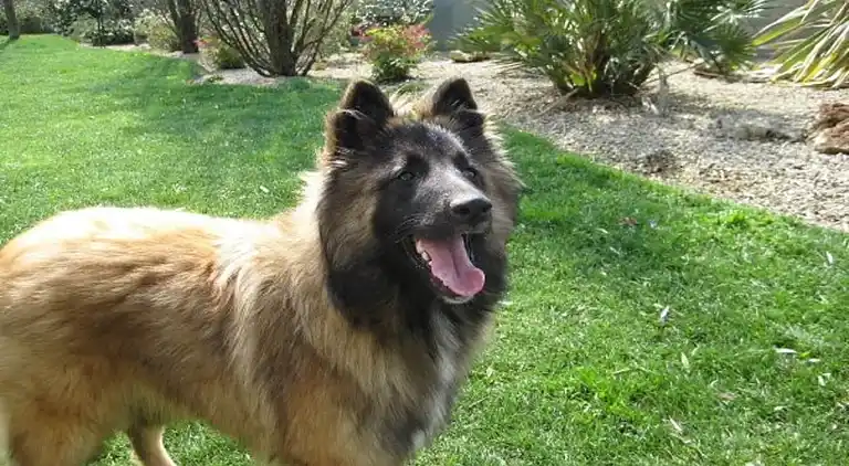 Holiday home in Monteforte d'Alpone