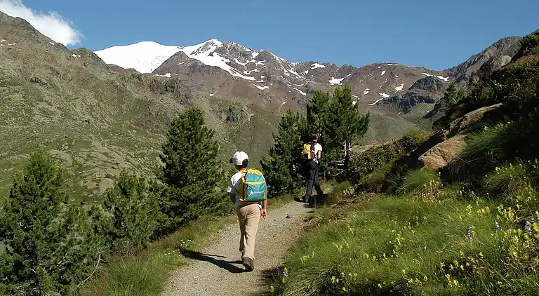 Appartement in Celledizzo