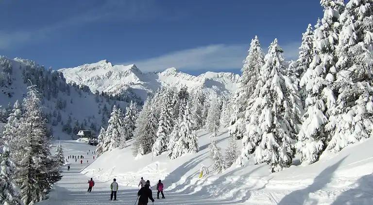 Appartement in Celledizzo