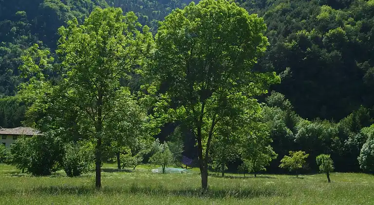 Semesterbostad i Ledro