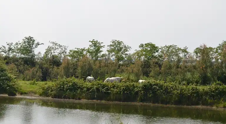Vacation home in Lido delle Nazioni