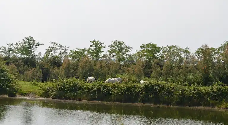 Sommerhus i Lido di Pomposa