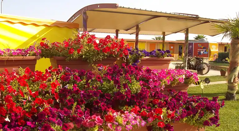 Lägenhet i Lido degli Estensi