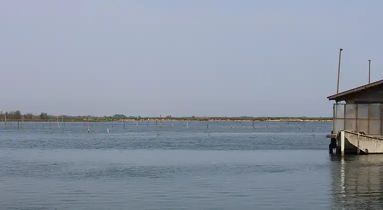 Apartment in Rosolina Mare