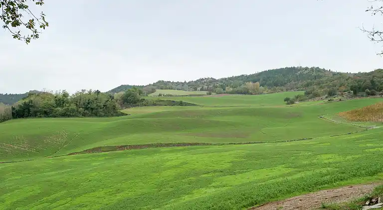 Lägenhet i Modigliana