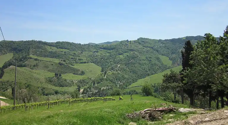 Lägenhet i Tredozio