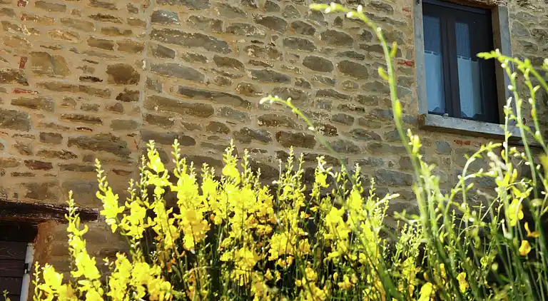 Sommerhus i Modigliana