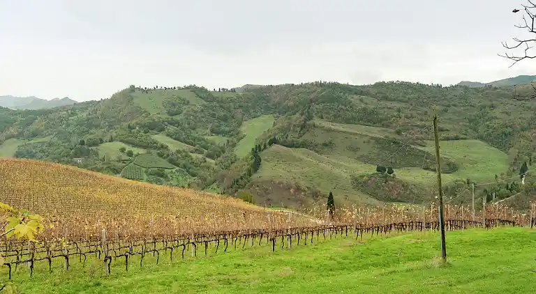 Vakantiehuis in Tredozio