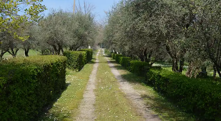Vakantiehuis in Santarcangelo di Romagna
