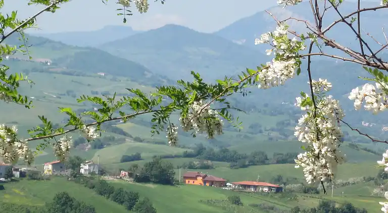 Feriebolig i Zollara