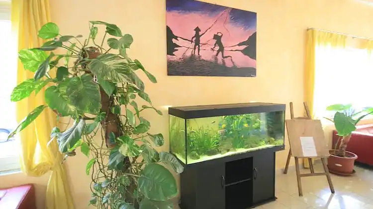 Apartment in Viserbella