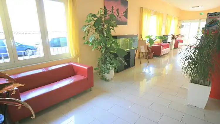 Apartment in Viserbella