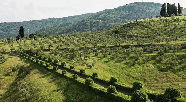 Vakantiehuis in Rignano sull'Arno
