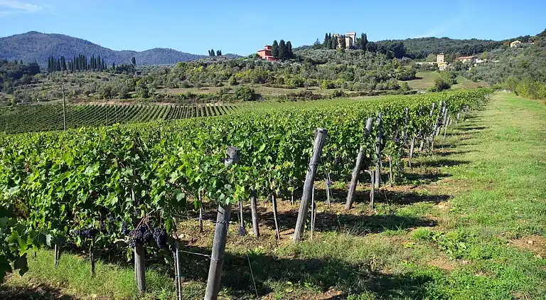 Casa señorial en Rignano sull'Arno