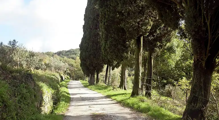 Feriebolig i Sesto Fiorentino
