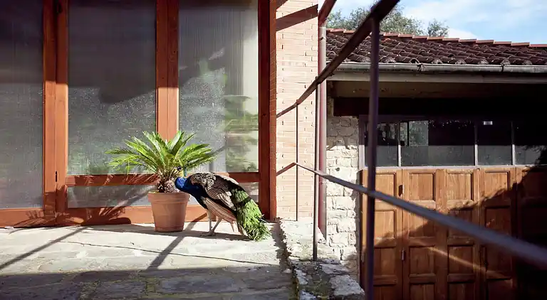 Leilighet i Greve in Chianti