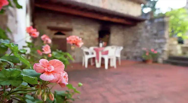 Apartment in Greve in Chianti