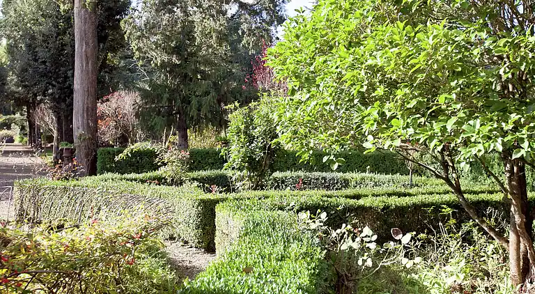 Apartment in Greve in Chianti