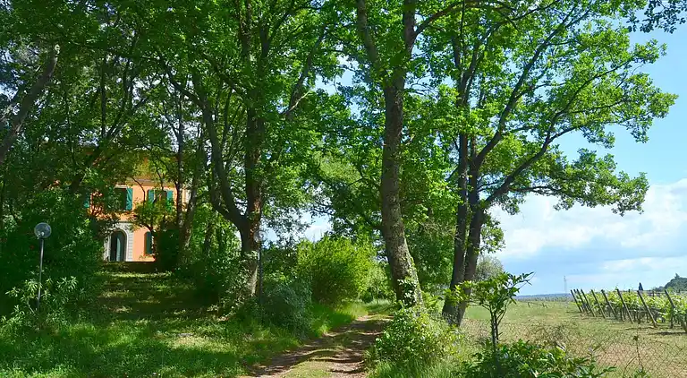 Holiday home in San Casciano in Val di Pesa