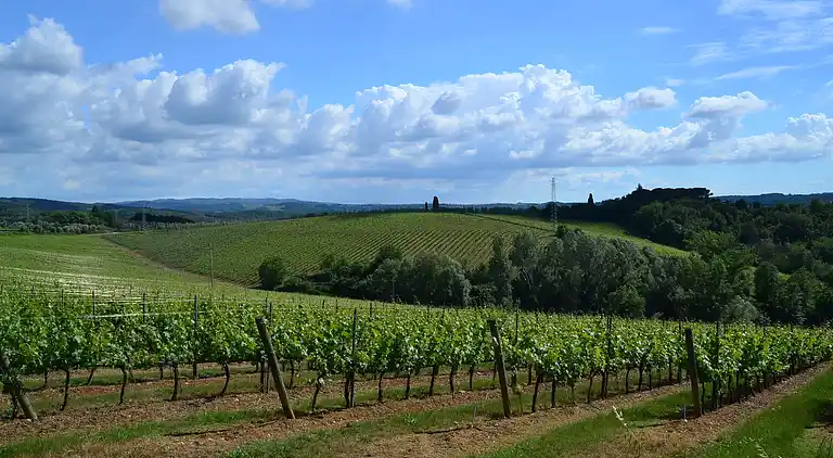 Holiday home in San Casciano in Val di Pesa