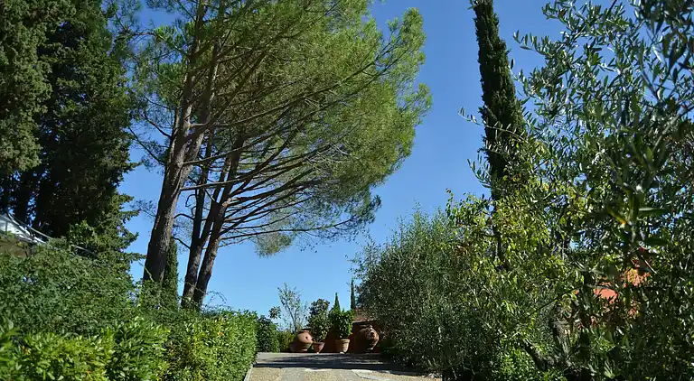 Feriebolig i Impruneta