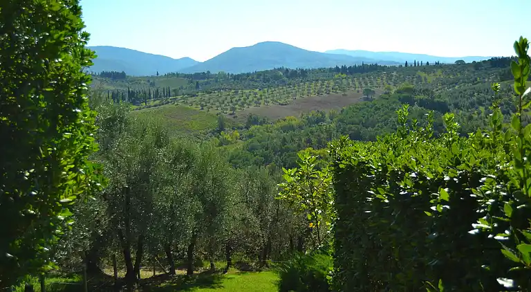 Feriebolig i Impruneta